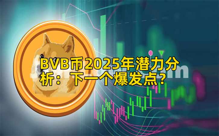 BVB币2025年潜力分析：下一个爆发点？