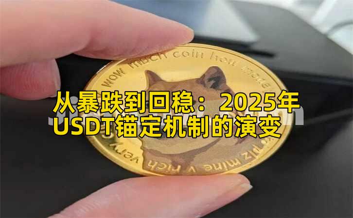 从暴跌到回稳：2025年USDT锚定机制的演变