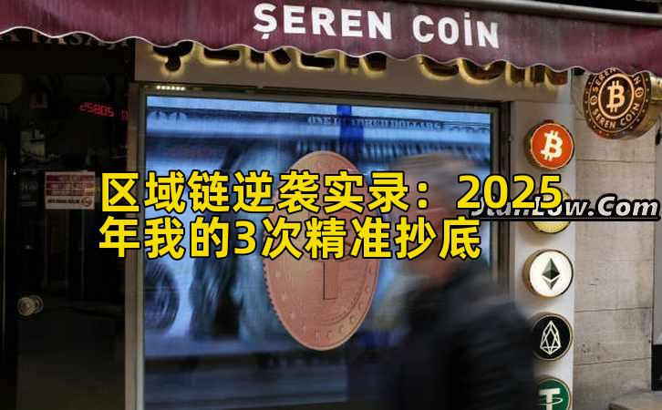 区域链逆袭实录：2025年我的3次精准抄底