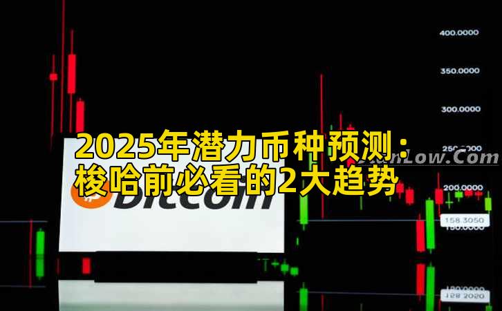 2025年潜力币种预测：梭哈前必看的2大趋势