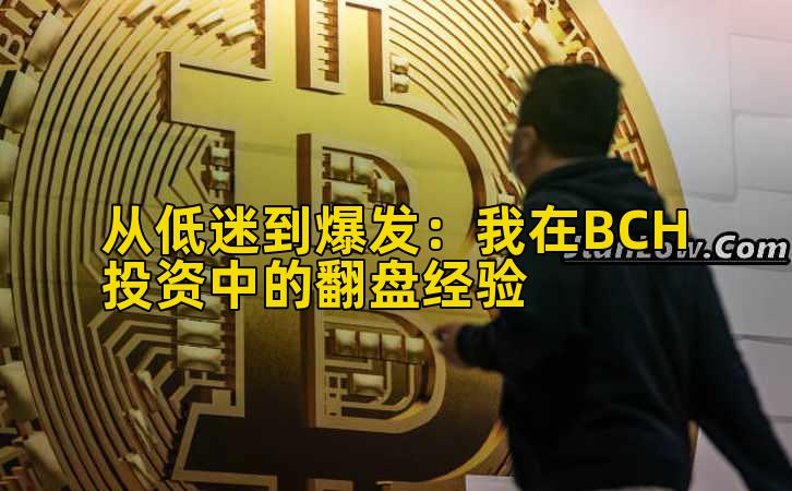 从低迷到爆发：我在BCH投资中的翻盘经验