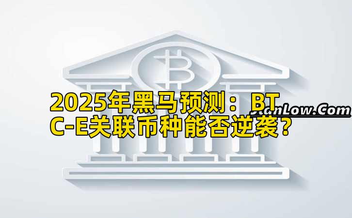 2025年黑马预测：BTC-E关联币种能否逆袭？