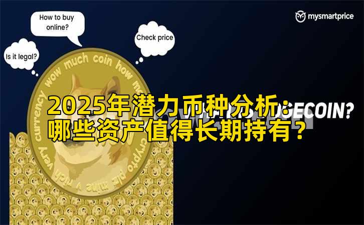 2025年潜力币种分析：哪些资产值得长期持有？
