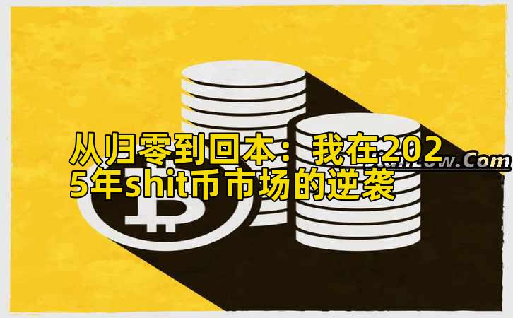 从归零到回本：我在2025年shit币市场的逆袭