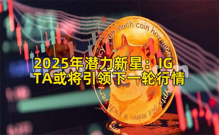 2025年潜力新星：IGTA或将引领下一轮行情