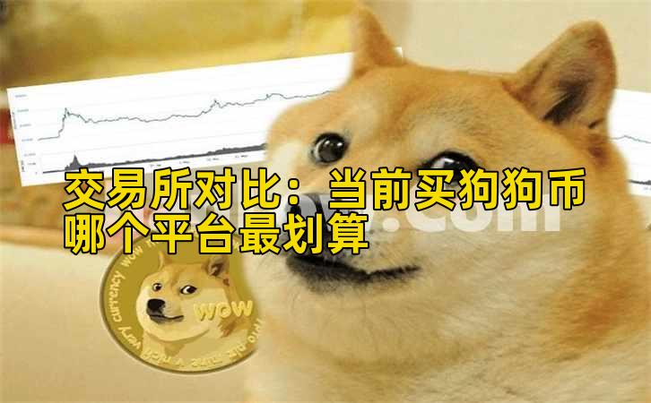 交易所对比:当前买狗狗币哪个平台最划算