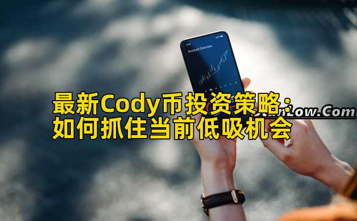 最新Cody币投资策略:如何抓住当前低吸机会