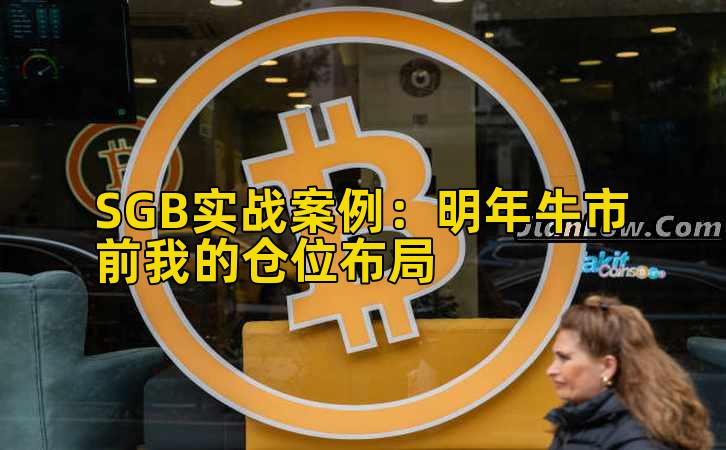 SGB实战案例：明年牛市前我的仓位布局