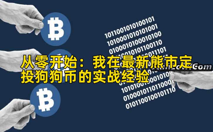 从零开始：我在最新熊市定投狗狗币的实战经验