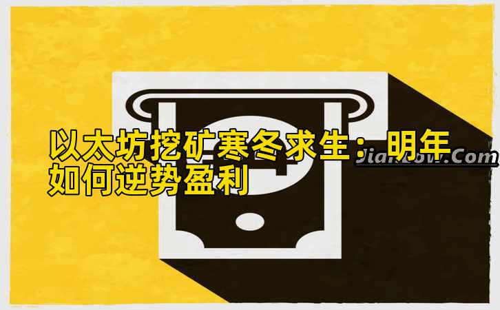 以太坊挖矿寒冬求生:明年如何逆势盈利