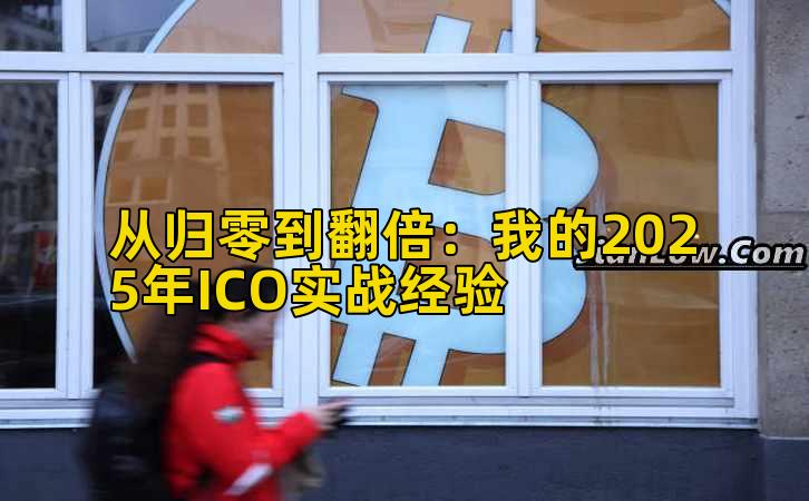 从归零到翻倍：我的2025年ICO实战经验
