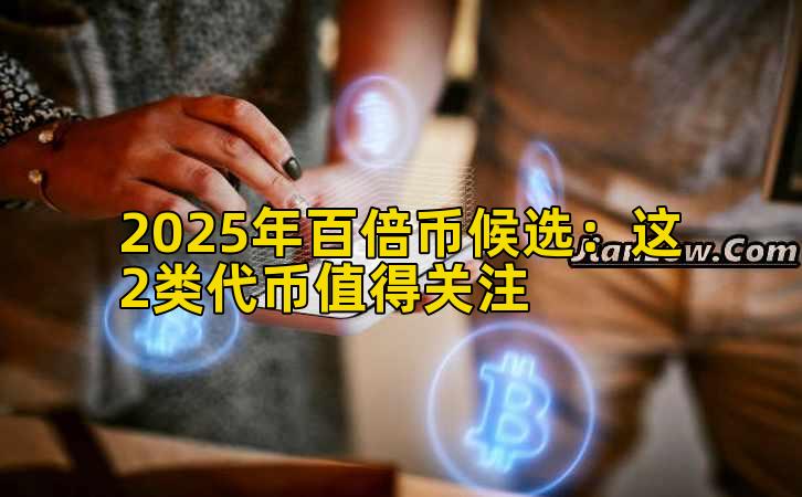 2025年百倍币候选：这2类代币值得关注