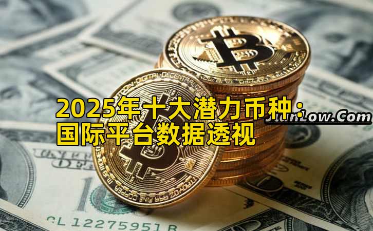 2025年十大潜力币种：国际平台数据透视