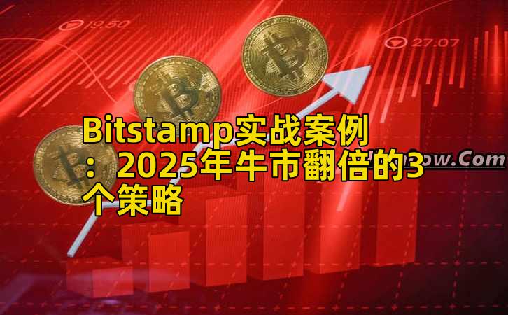 Bitstamp实战案例:2025年牛市翻倍的3个策略