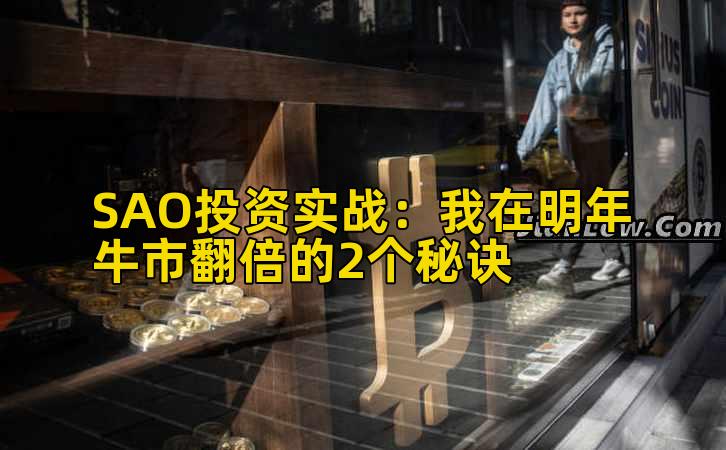 SAO投资实战：我在明年牛市翻倍的2个秘诀