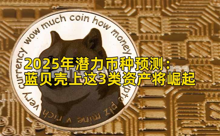 2025年潜力币种预测：蓝贝壳上这3类资产将崛起