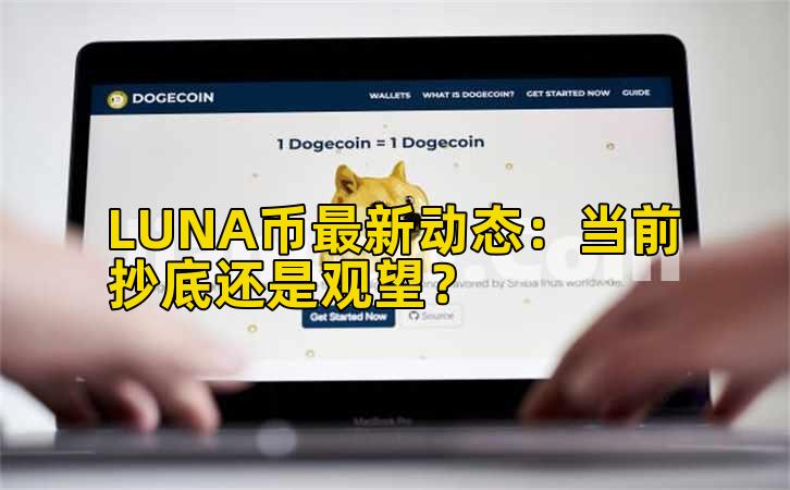 LUNA币最新动态：当前抄底还是观望？