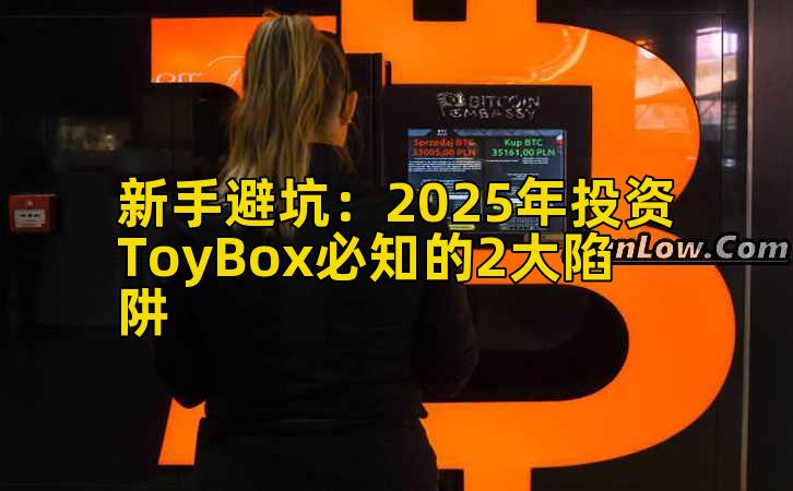 新手避坑:2025年投资ToyBox必知的2大陷阱