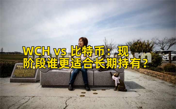 WCH vs 比特币：现阶段谁更适合长期持有？