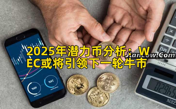 2025年潜力币分析：WEC或将引领下一轮牛市