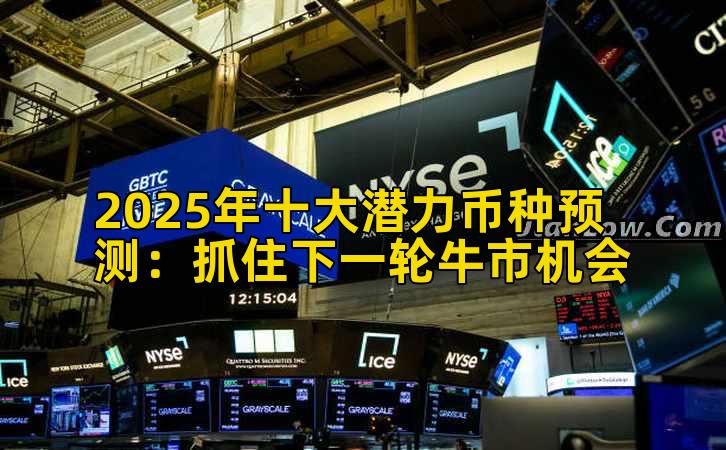 2025年十大潜力币种预测：抓住下一轮牛市机会