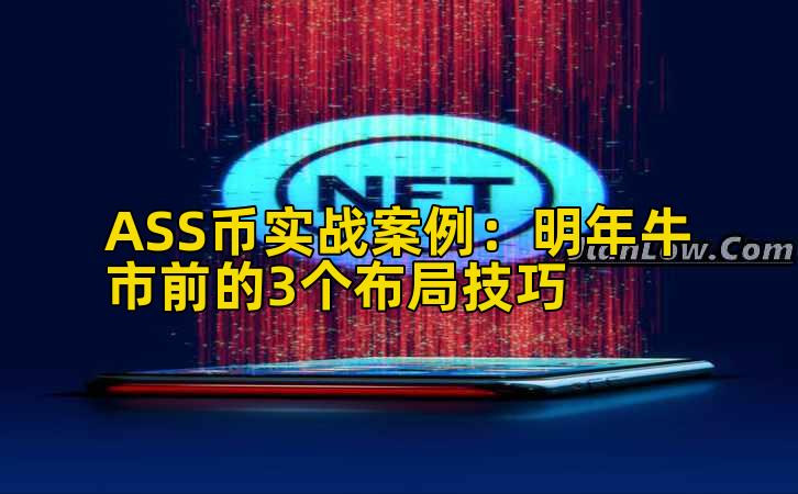 ASS币实战案例：明年牛市前的3个布局技巧