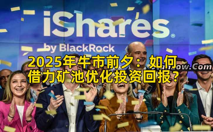 2025年牛市前夕：如何借力矿池优化投资回报？