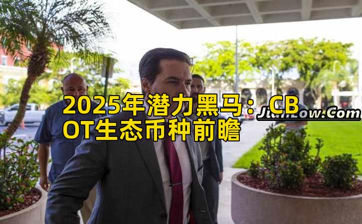 2025年潜力黑马：CBOT生态币种前瞻