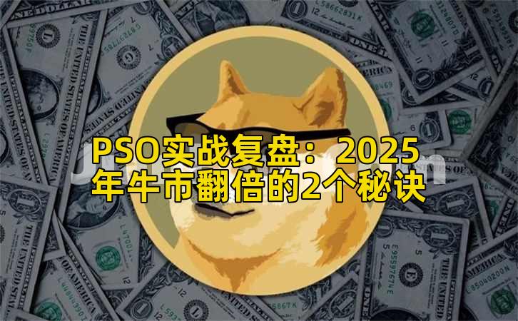 PSO实战复盘：2025年牛市翻倍的2个秘诀