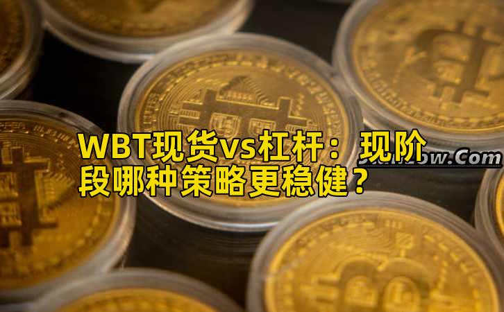 WBT现货vs杠杆：现阶段哪种策略更稳健？
