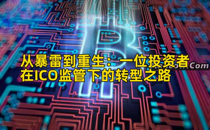 从暴雷到重生：一位投资者在ICO监管下的转型之路