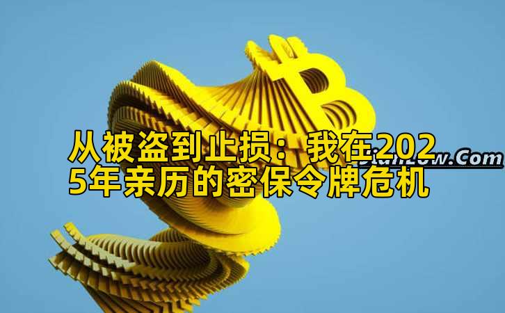从被盗到止损:我在2025年亲历的密保令牌危机