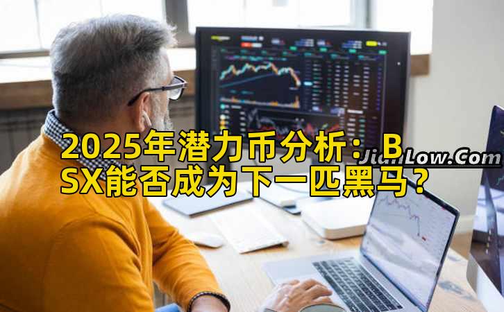 2025年潜力币分析：BSX能否成为下一匹黑马？