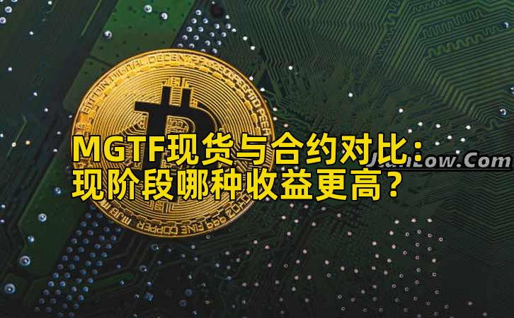 MGTF现货与合约对比:现阶段哪种收益更高?