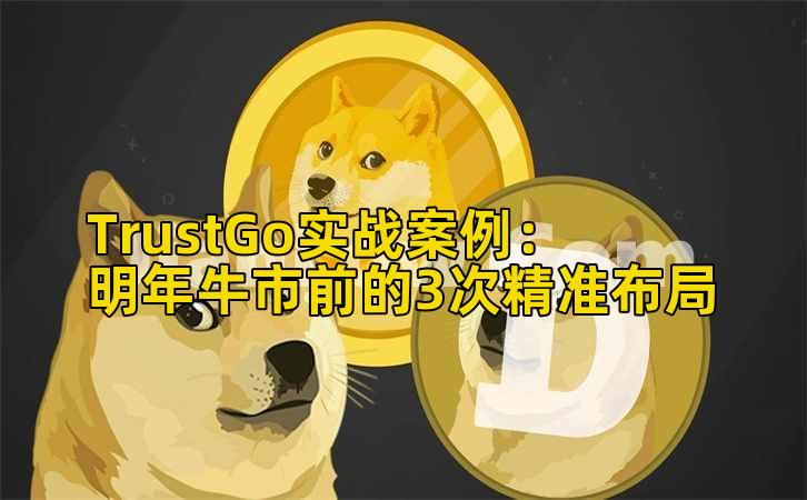 TrustGo实战案例：明年牛市前的3次精准布局