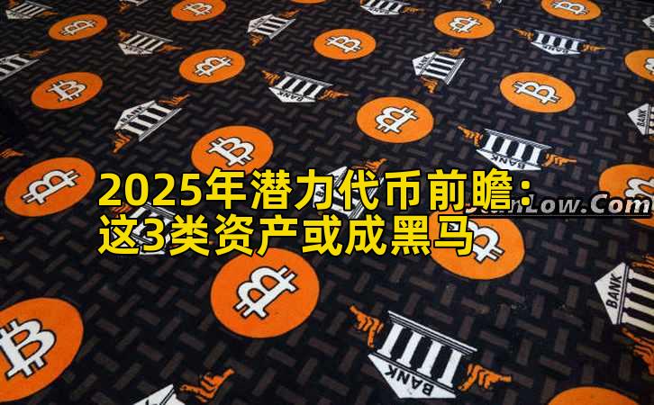 2025年潜力代币前瞻：这3类资产或成黑马