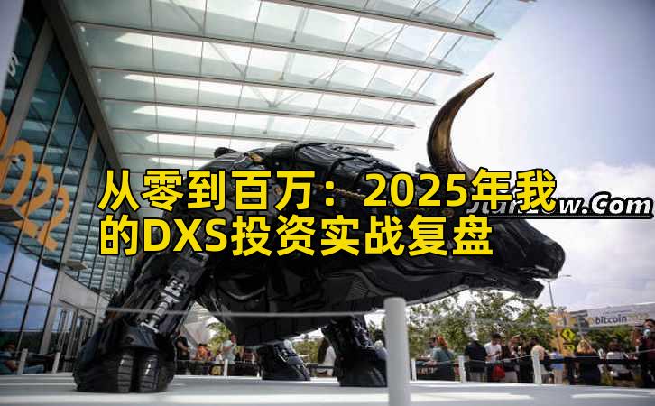 从零到百万：2025年我的DXS投资实战复盘