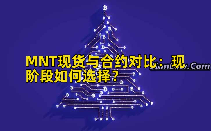 MNT现货与合约对比：现阶段如何选择？
