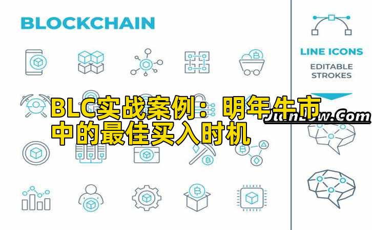 BLC实战案例:明年牛市中的最佳买入时机
