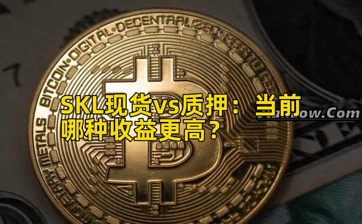 SKL现货vs质押：当前哪种收益更高？