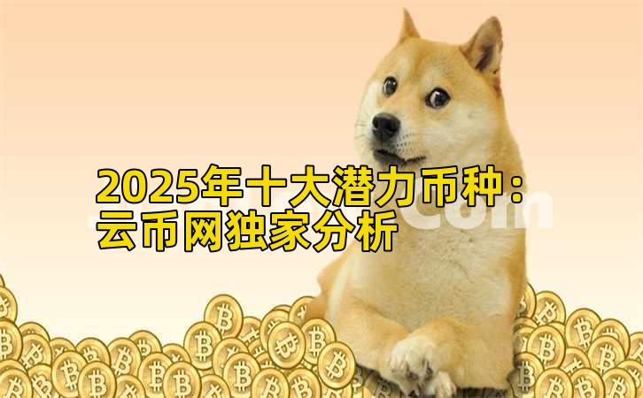 2025年十大潜力币种：云币网独家分析