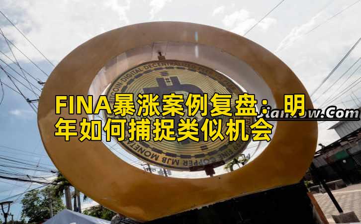 FINA暴涨案例复盘:明年如何捕捉类似机会