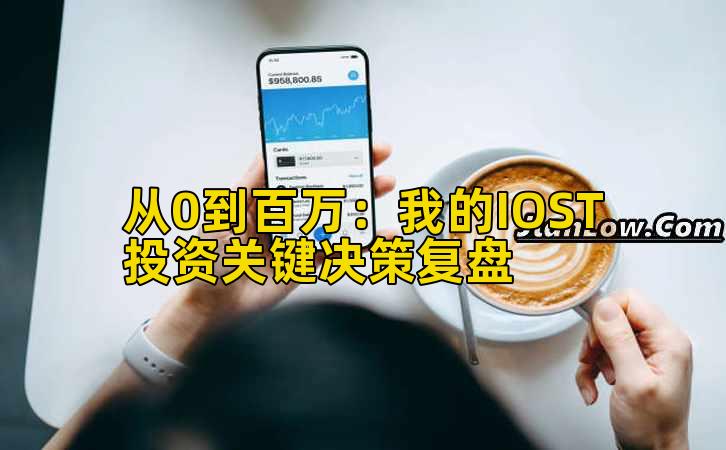 从0到百万：我的IOST投资关键决策复盘