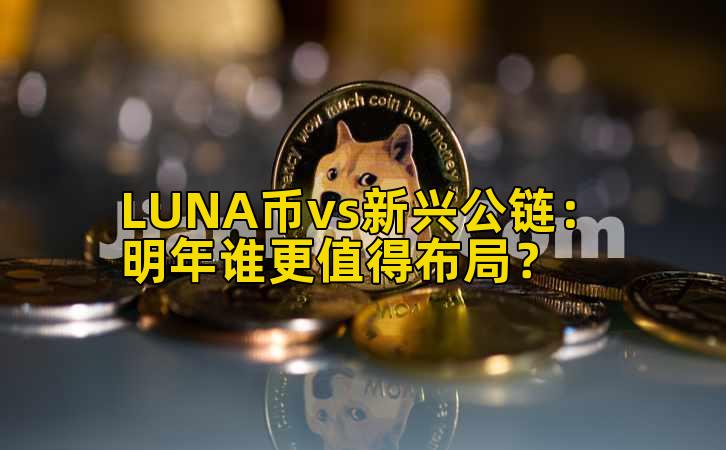LUNA币vs新兴公链：明年谁更值得布局？