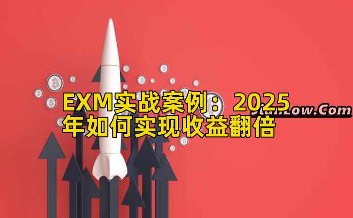 EXM实战案例：2025年如何实现收益翻倍