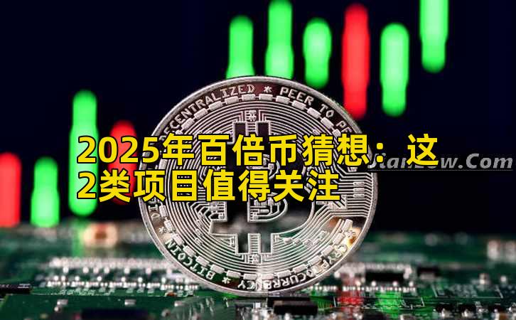 2025年百倍币猜想：这2类项目值得关注