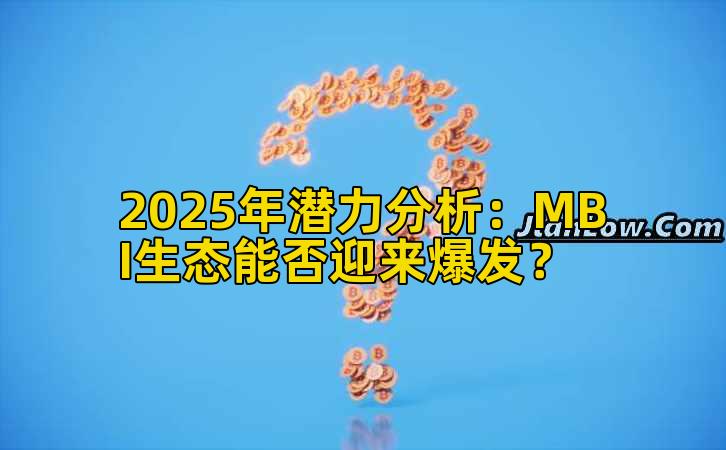 2025年潜力分析：MBI生态能否迎来爆发？