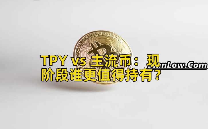 TPY vs 主流币：现阶段谁更值得持有？
