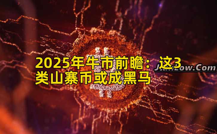 2025年牛市前瞻：这3类山寨币或成黑马