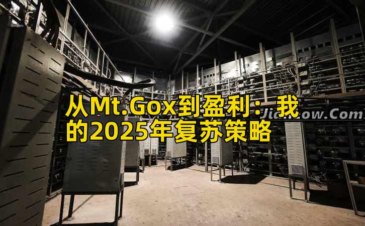 从Mt.Gox到盈利：我的2025年复苏策略